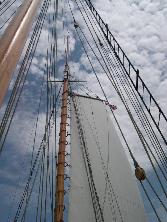 sail1.jpg